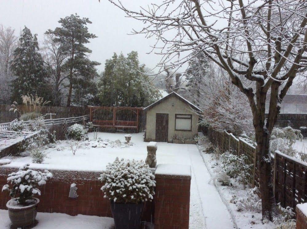Bay Tree House Bed & Breakfast Barnet Bagian luar foto